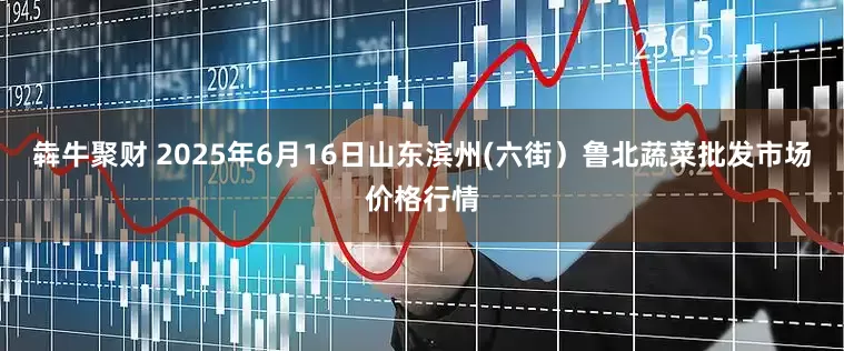 犇牛聚财 2025年6月16日山东滨州(六街）鲁北蔬菜批发市场价格行情